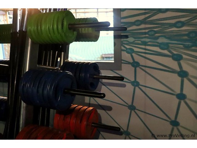 Halterschijven- en halterstangenrek - 130x120x160cm - afbeelding 9 van  9