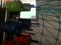 Halterschijven- en halterstangenrek - 130x120x160cm - afbeelding 9 van  9