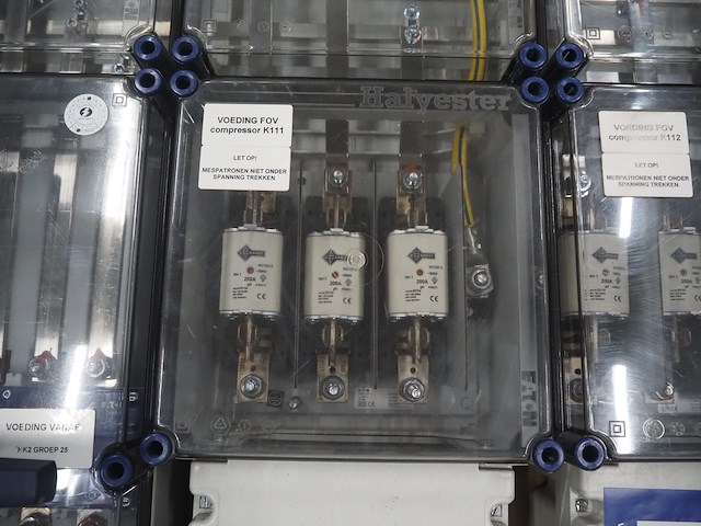 Halyester - afbeelding 4 van  6