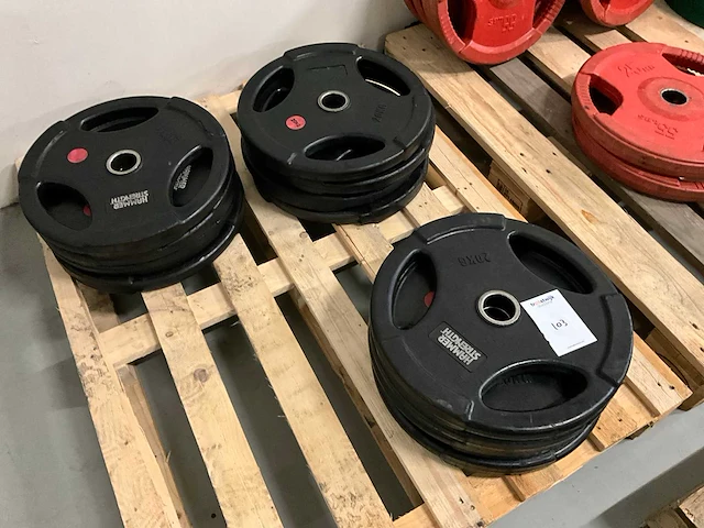 Hammer strength - 20 kg - halterschijf (4x) - afbeelding 2 van  3