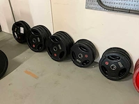 Hammer strength - halterschijf (2x)