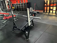 Hammer strength halterbank