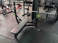 Hammer strength halterbank