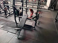 Hammer strength halterbank