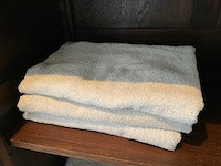 Handdoeken (21x) - afbeelding 2 van  3