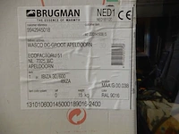 Handdoekradiator, brugman, ibiza, wit, 1450x600 - afbeelding 3 van  3