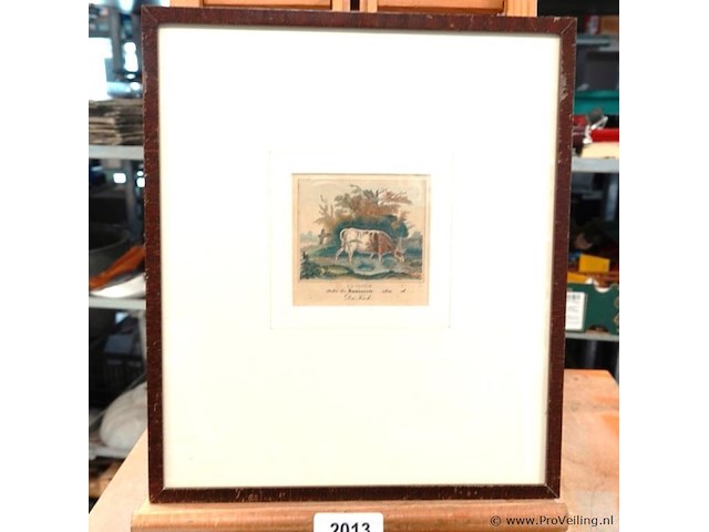 Handgekleurde antieke gravure van een drinkende koe bij een waterkant, met franse en duitse bijschriften "la vache", "ordre des ruminants", "die kuh" - afbeelding 1 van  5