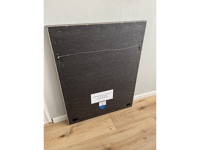 Handgesigneerd nomex undersuit nyck de vries - afbeelding 16 van  20