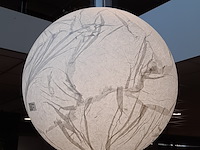Hanglamp davide groppi, moon - afbeelding 3 van  5