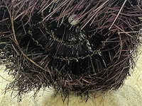Hanglamp - afbeelding 2 van  3