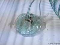 Hanglamp - afbeelding 4 van  4
