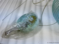 Hanglamp - afbeelding 4 van  4