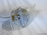 Hanglamp - afbeelding 4 van  5