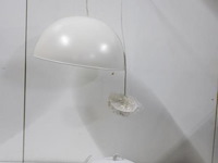 Hanglampen - 2 stuks - afbeelding 1 van  4