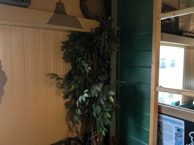 Hanglampen en decoraties - afbeelding 3 van  11