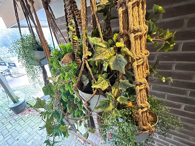 Hangplant kunstplanten (8x) - afbeelding 4 van  4