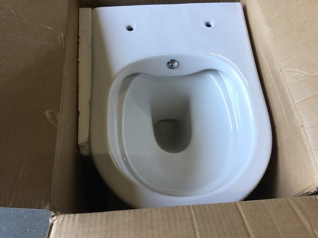Hangtoilet zonder bril randloos met bidetfunctie, darlo, dl55700, wit - afbeelding 4 van  4