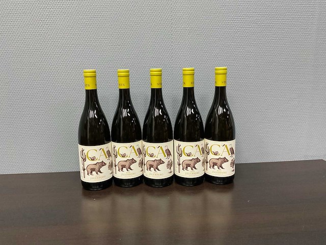 Hannes sabathi, ried jägersbergh chardonnay 2021 (5x) - afbeelding 1 van  4