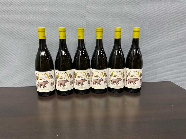 Hannes sabathi, ried jägersbergh chardonnay 2021 (6x) - afbeelding 1 van  5