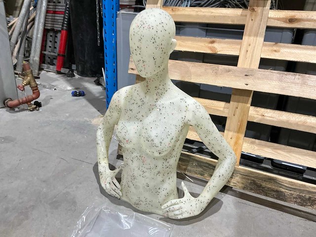 Hans boodt m7010 paspop torso (4x) - afbeelding 2 van  4