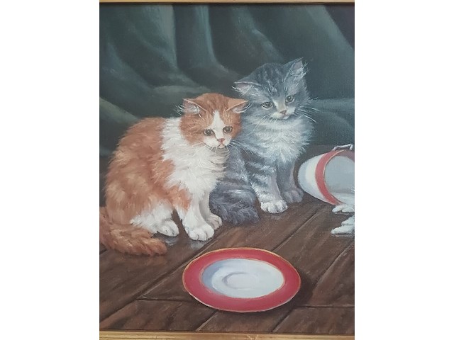 Hans e (hans esveldt) - kittens en slagroom - afbeelding 3 van  6