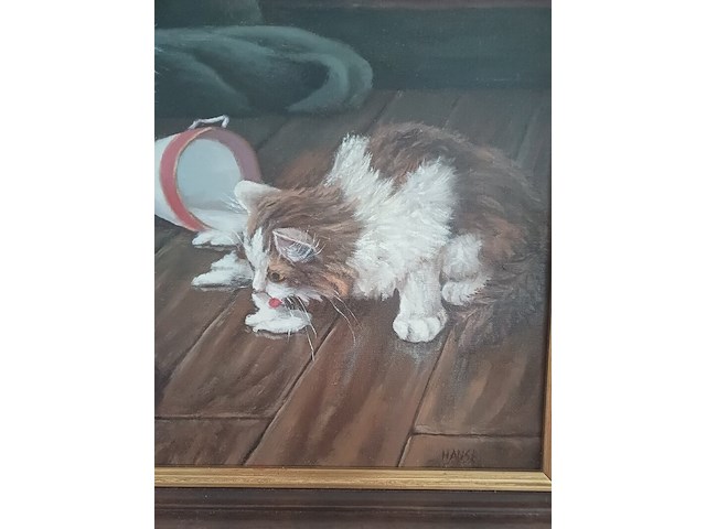 Hans e (hans esveldt) - kittens en slagroom - afbeelding 4 van  6