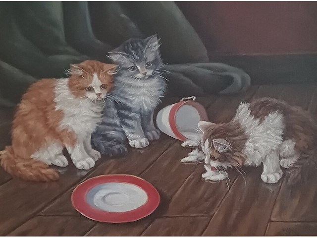 Hans e (hans esveldt) - kittens en slagroom - afbeelding 5 van  6