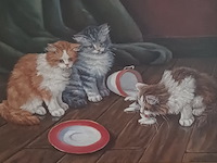 Hans e (hans esveldt) - kittens en slagroom - afbeelding 5 van  6