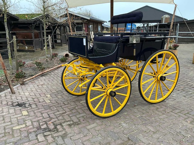 Hansen antieke derby dogcart - afbeelding 1 van  31