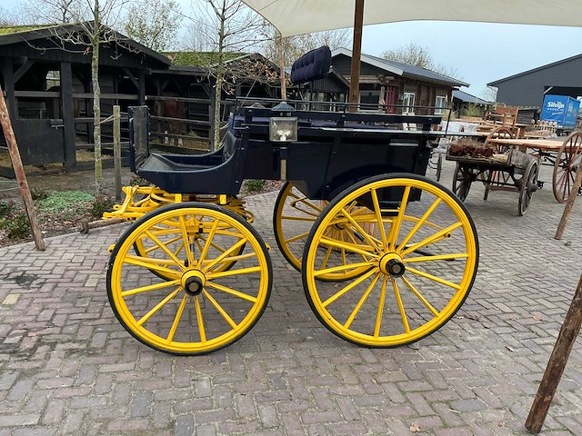 Hansen antieke derby dogcart - afbeelding 12 van  31