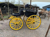 Hansen antieke derby dogcart - afbeelding 12 van  31