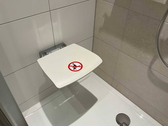 Hansgrohe douche thermostaatkraan met handdouche en douchestoel - afbeelding 7 van  8