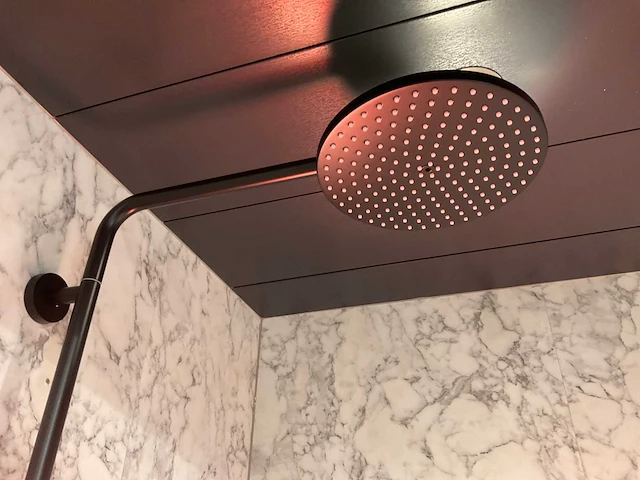 Hansgrohe thermostatische regendoucheset - afbeelding 4 van  4