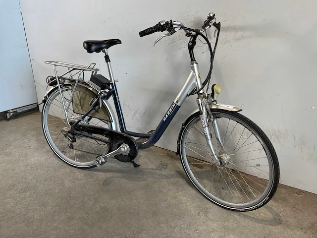 Harbin evergreen elektrische fiets - afbeelding 3 van  6