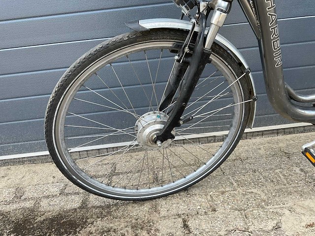 Harbin ice ice elektrische fiets - afbeelding 1 van  8