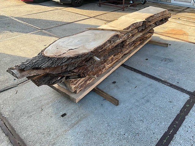 Hardhout (9x) - afbeelding 1 van  6