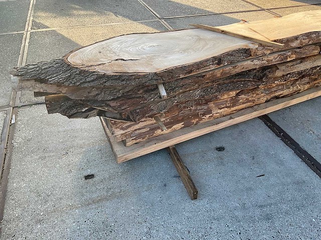 Hardhout (9x) - afbeelding 6 van  6