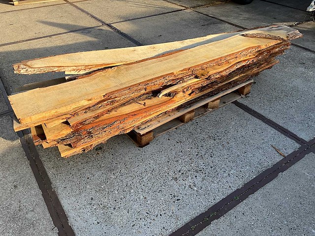 Hardhout - afbeelding 3 van  7