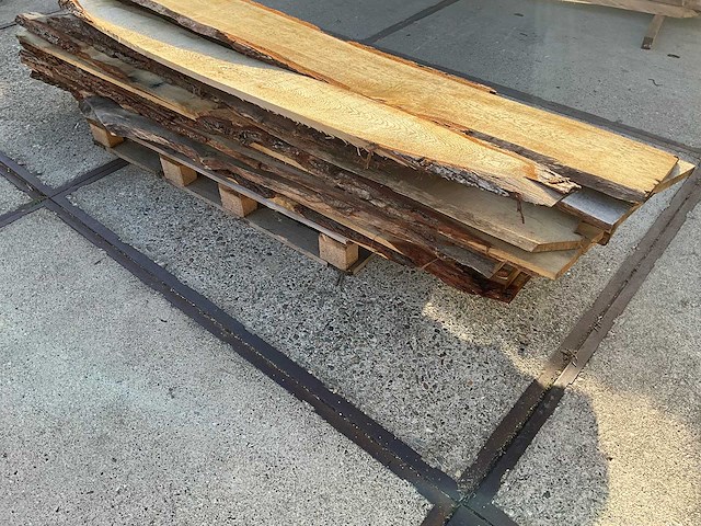 Hardhout - afbeelding 5 van  7