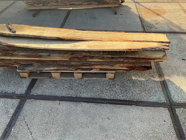 Hardhout - afbeelding 7 van  7