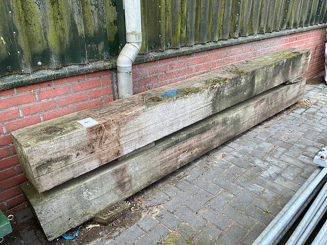 Hardhouten dampaal (2x) - afbeelding 1 van  4