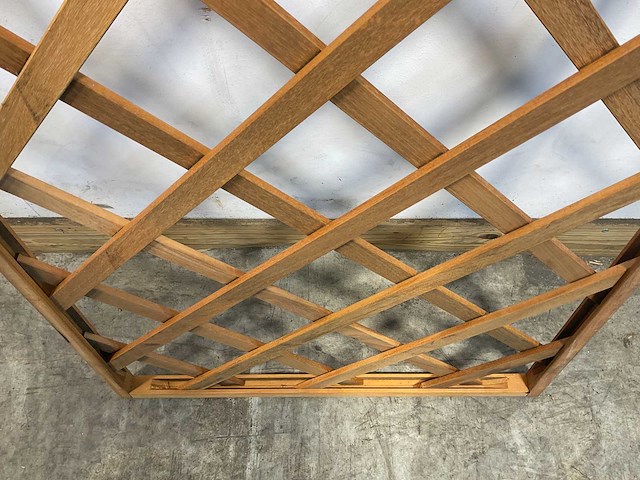 Hardhouten trellis recht met kader 180x75 cm (60x) - afbeelding 8 van  8
