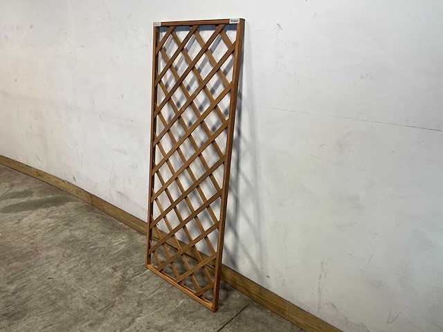 Hardhouten trellis recht met kader 180x75 cm (60x) - afbeelding 11 van  13