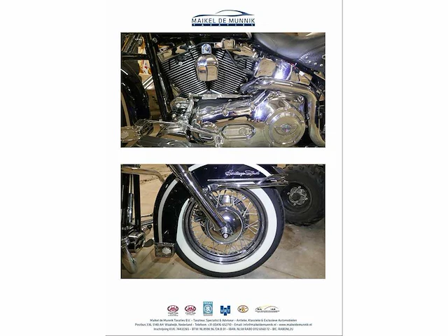 Harley davidson - 88 flstci heritage softtail - afbeelding 8 van  16
