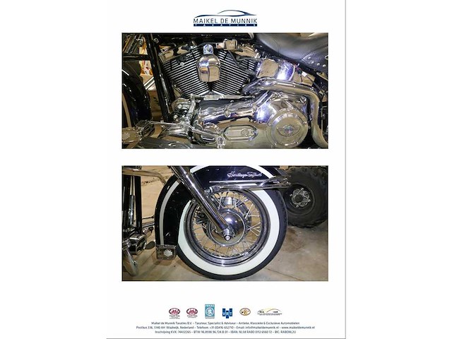 Harley davidson - 88 flstci heritage softtail - afbeelding 3 van  8