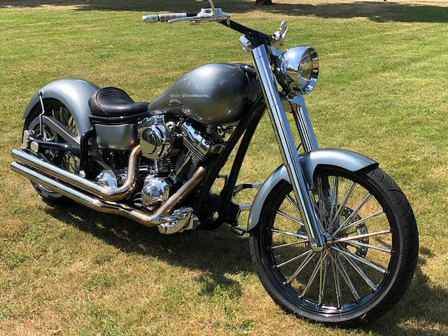 Harley davidson - legend drag softtail custom - afbeelding 1 van  18