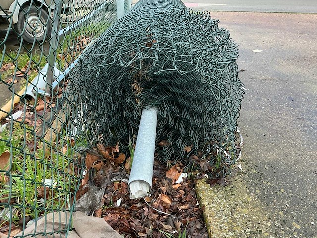 Harmonica gaas - afbeelding 3 van  4