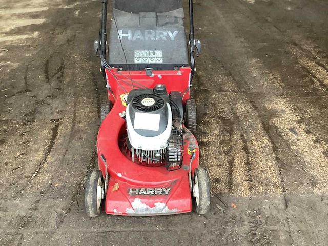 Harry grasmaaier - afbeelding 3 van  6