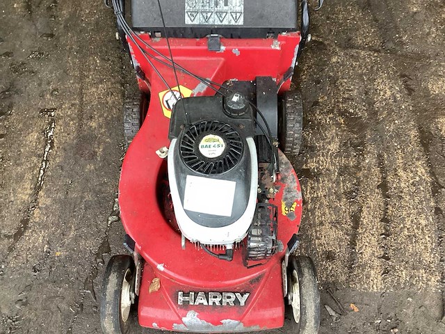 Harry grasmaaier - afbeelding 4 van  6
