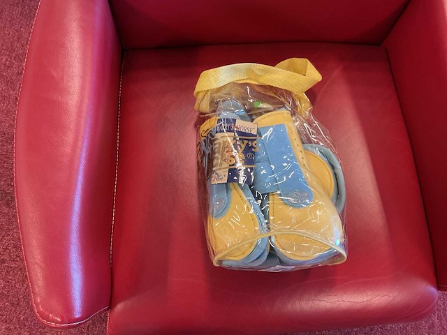 Harry’s horse beenbeschermersset (2x) - afbeelding 1 van  1